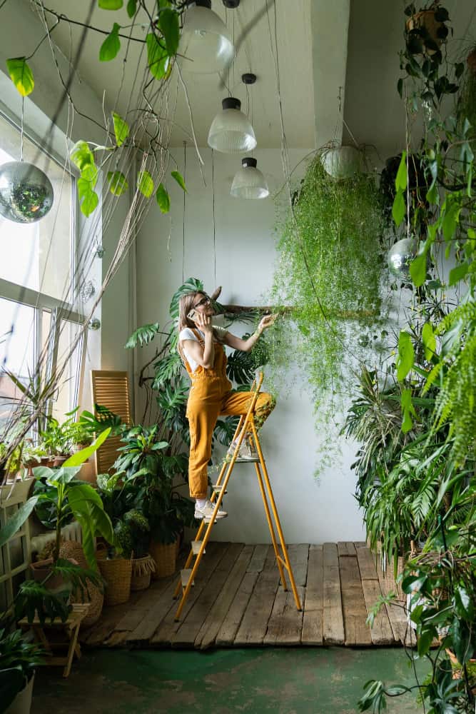 woman standing ladder holding plants making call